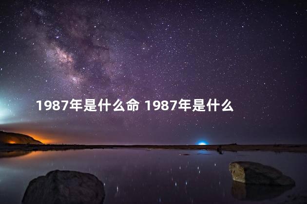 1987年是什么命 1987年是什么生肖年